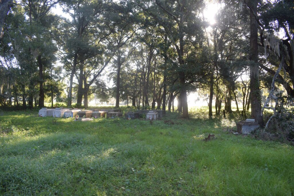 Historic graves beneath oak trees and Spanish moss in Romeo Cemetery, Florida