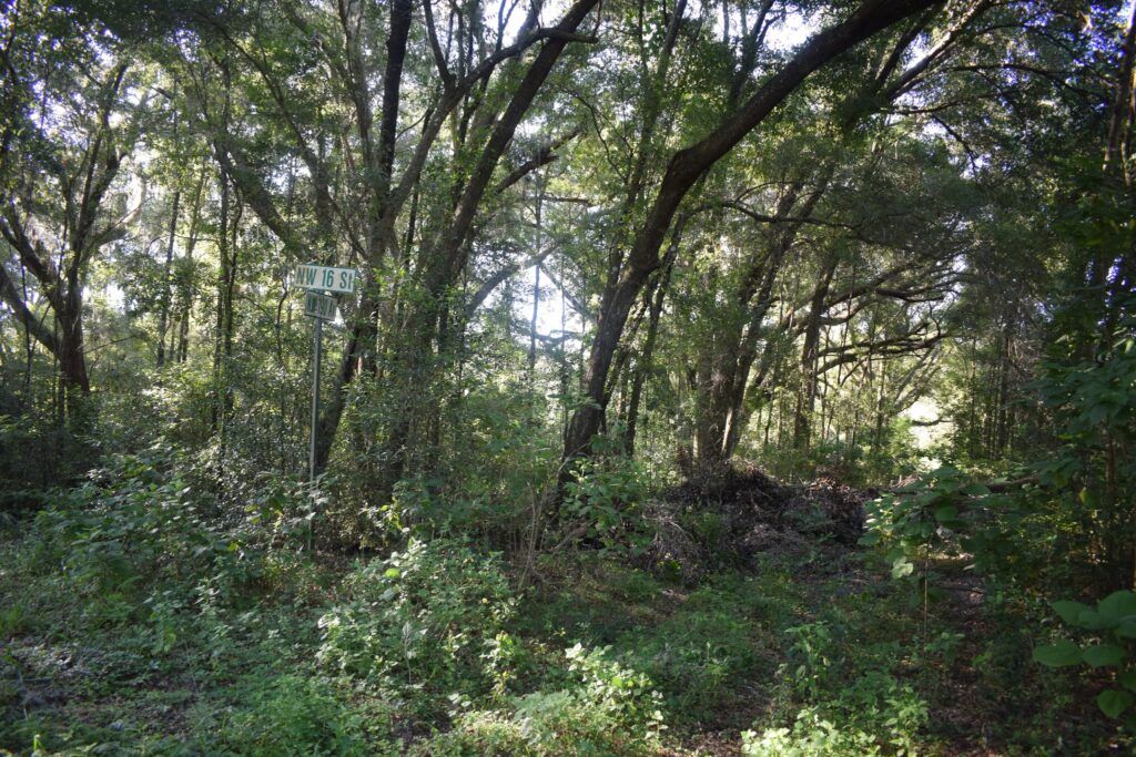 Overgrown intersection of NW 16th Street and NW 190th Avenue in historic Romeo, Florida