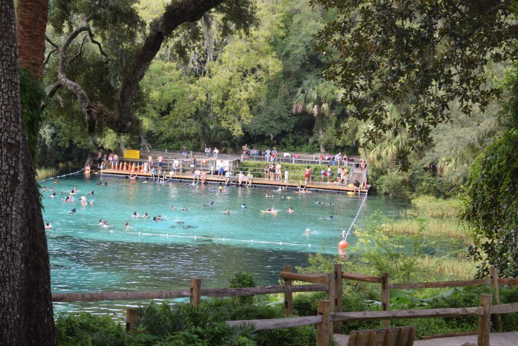 Visitors swimming in the clear blue water at Rainbow Springs State Park near Dunnellon, Florida