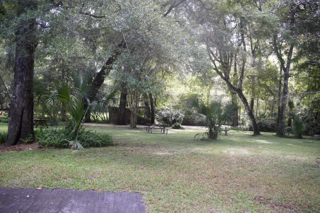 Wooded grounds at Rainbow Springs State Park where the former tourist attraction once operated