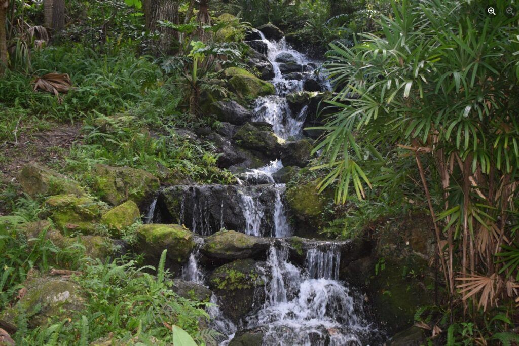 Waterfall flowing over moss-covered rocks at Rainbow Springs State Park in Florida