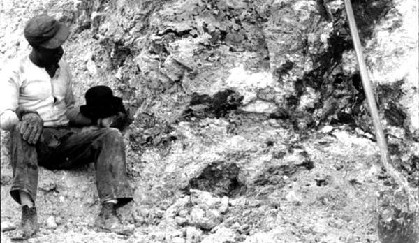 Large phosphate boulder