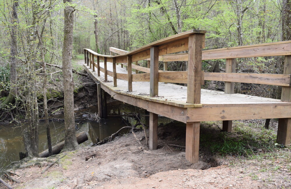 Stop on the Orlando to Dothan road trip – Bellamy Bridge Trail in Marianna, Florida.
