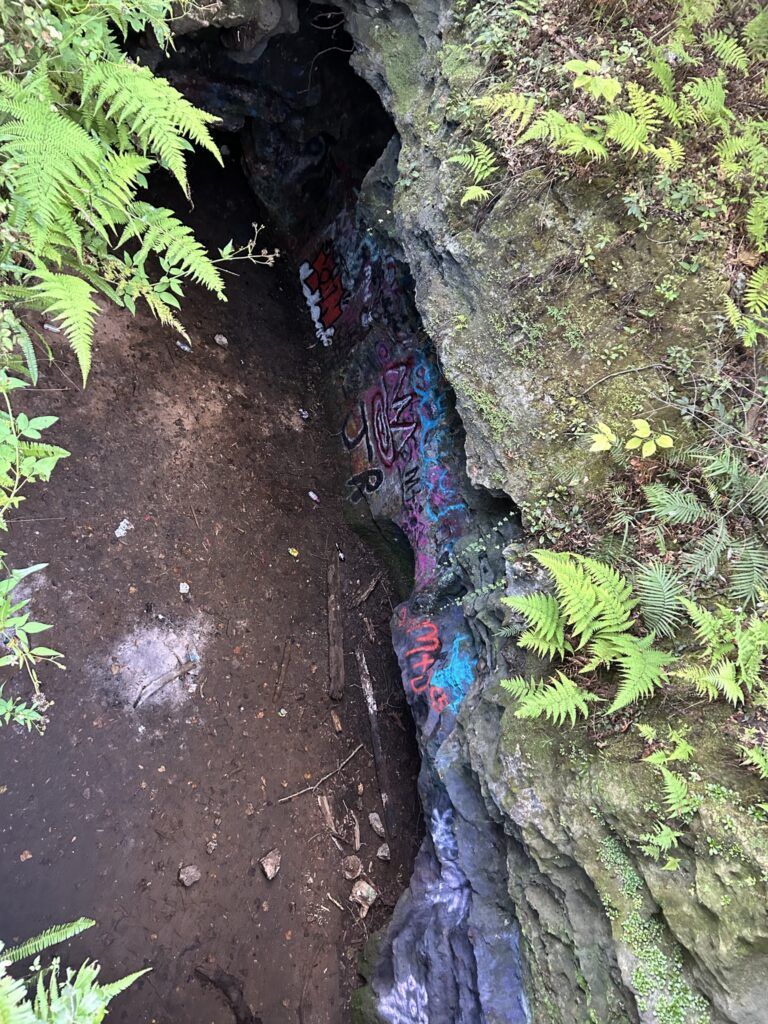 Graffiti-covered walls inside Dames Cave, Withlacoochee State Forest.