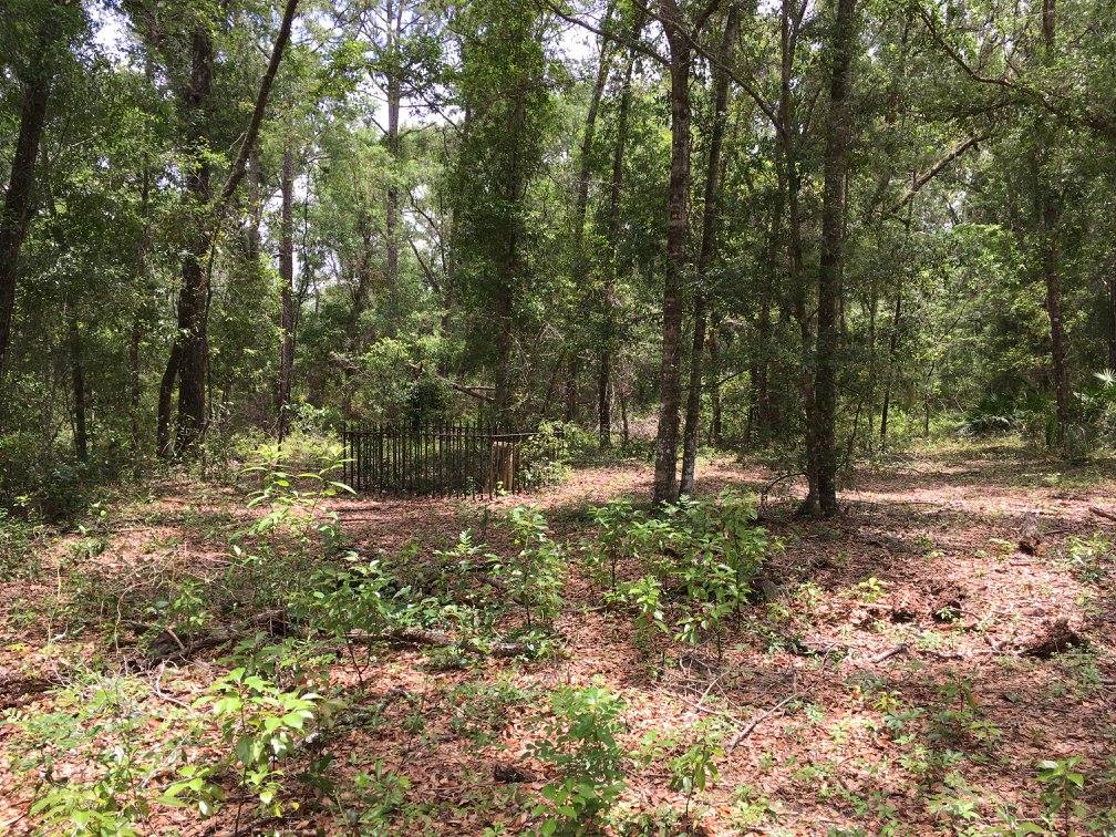 Lykes-Ayers Confederate Cemetery