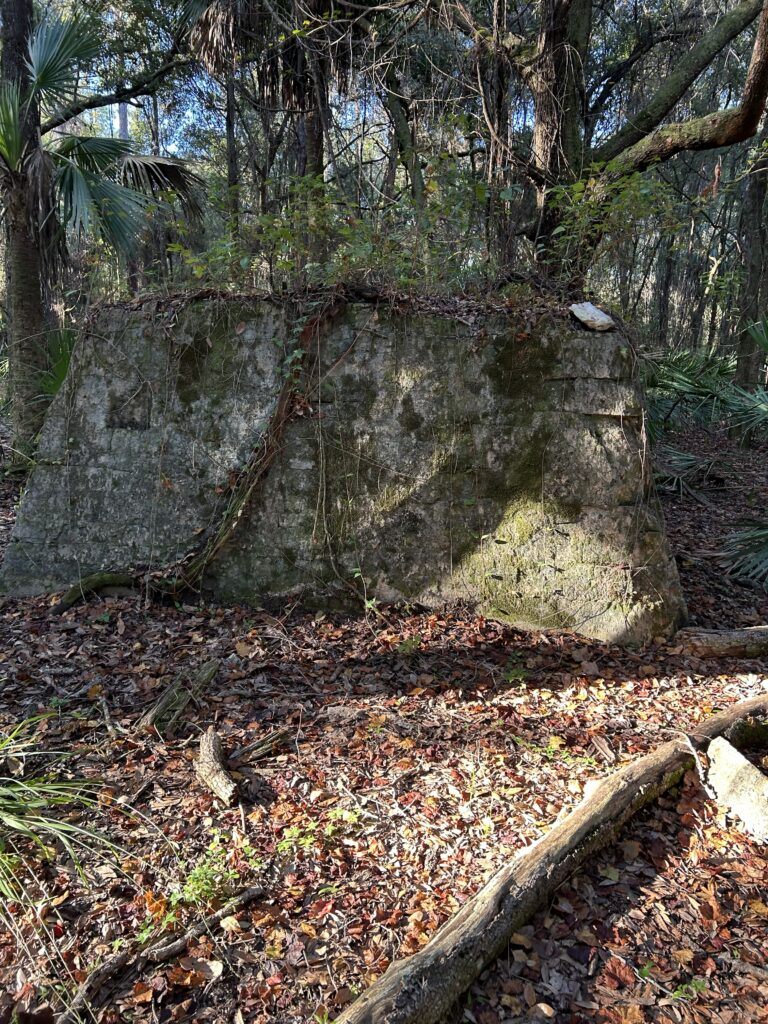 Centralia Sawmill Ruins