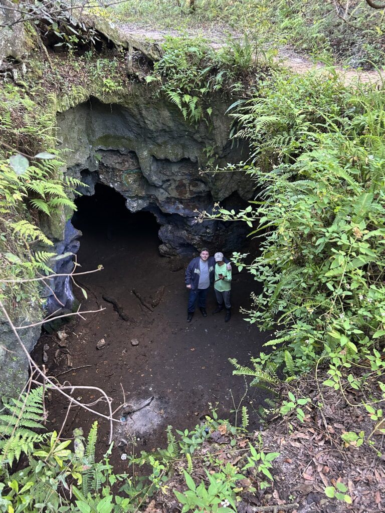 Fern-draped sinkhole opening of Dames Cave.
