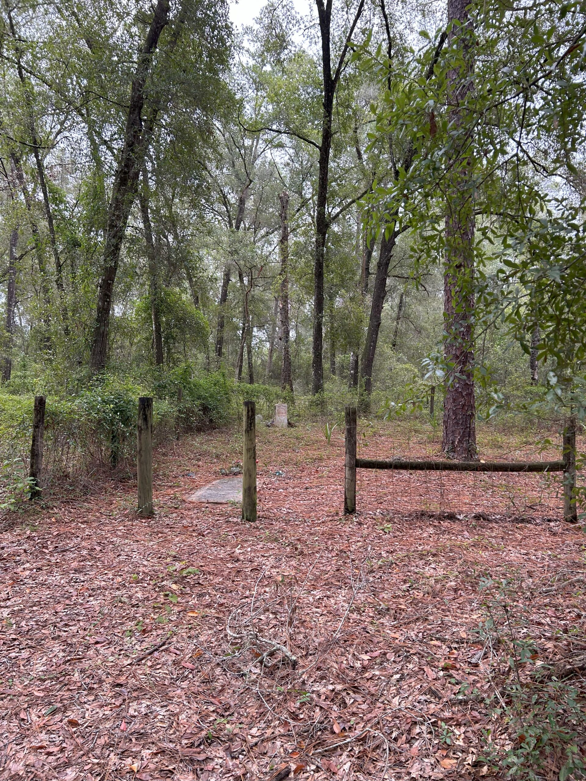 Standing Outside Orleans Cemetery Gate looking in at the cemetery