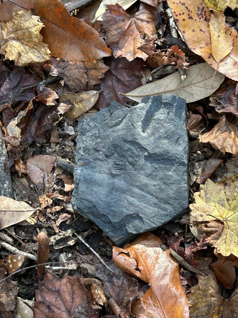 Slag or clinker from coal fired boilers near Centralia Sawmill