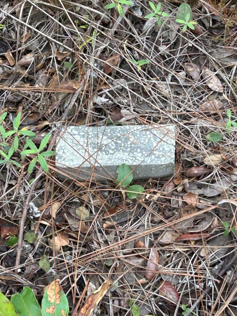 Aggregate Brick near Orleans Ghost Town Florida
