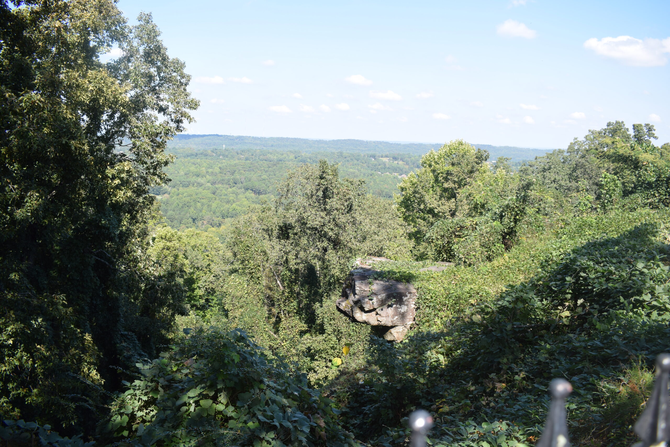 View from Lover’s Leap in Hoover, Alabama overlooking Shades Creek