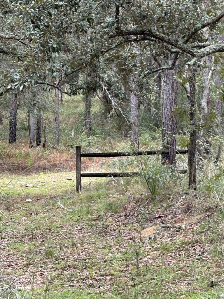 Wooden Fence near Orleans Ghost Town Florida