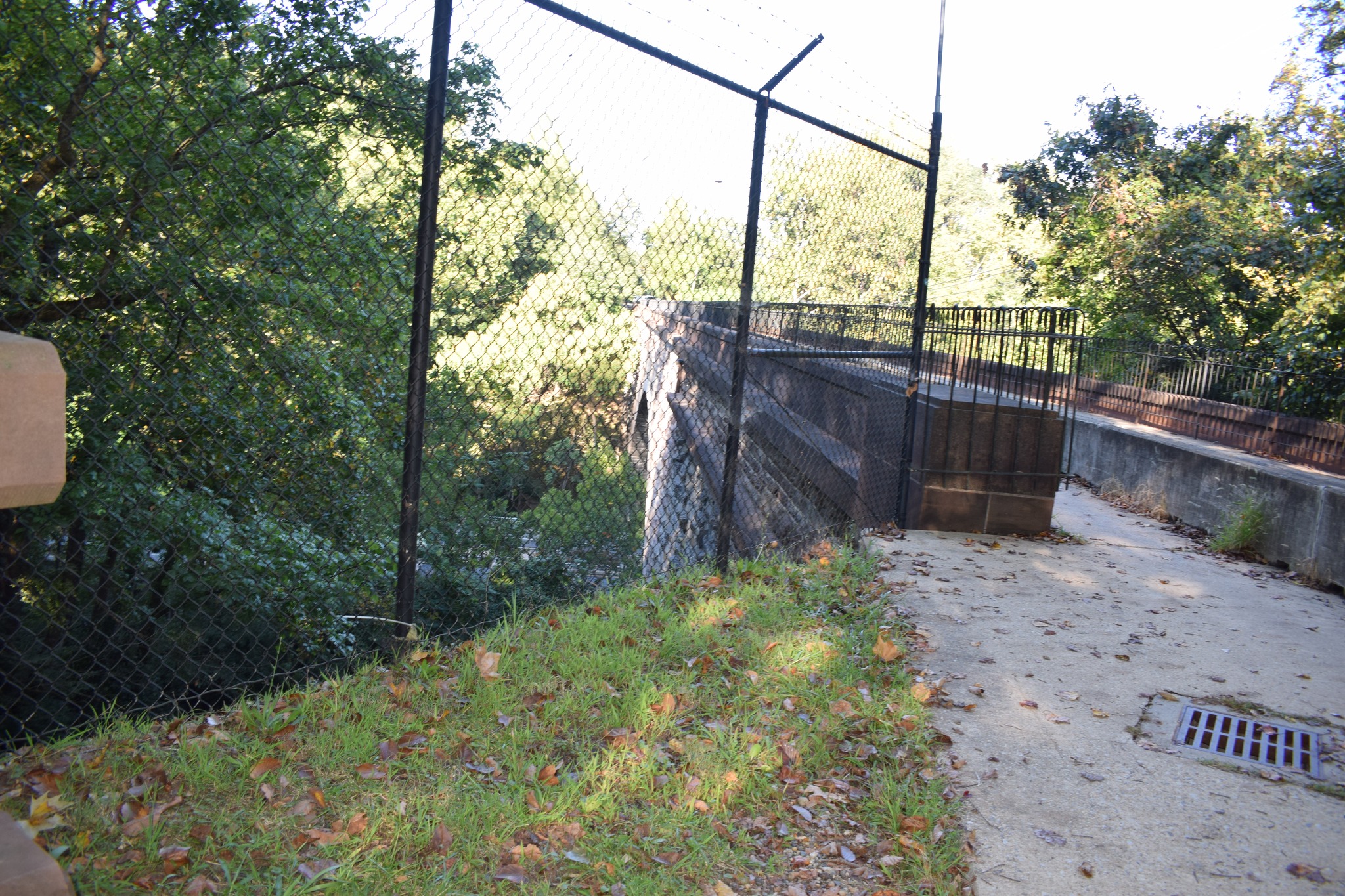 View of the Union Arch Bridge partially obscured by summer vegetation, with the stone arch just visible through dense green leaves.