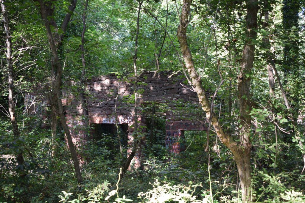 Trail view toward the quarry, Seneca Historic District.