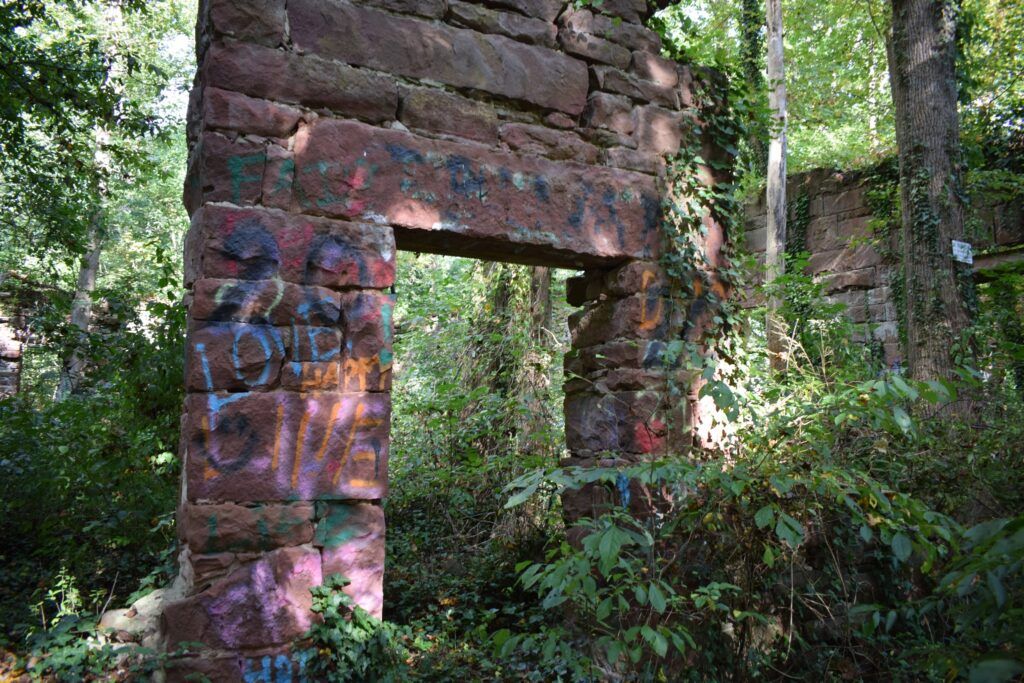 Seneca Quarry Ruins covered in ivy near the C&O Canal.