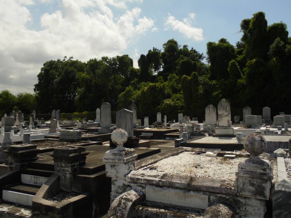 Low coping graves raised slightly above the ground, a burial style commonly used by 19th-century Irish immigrant families in New Orleans.