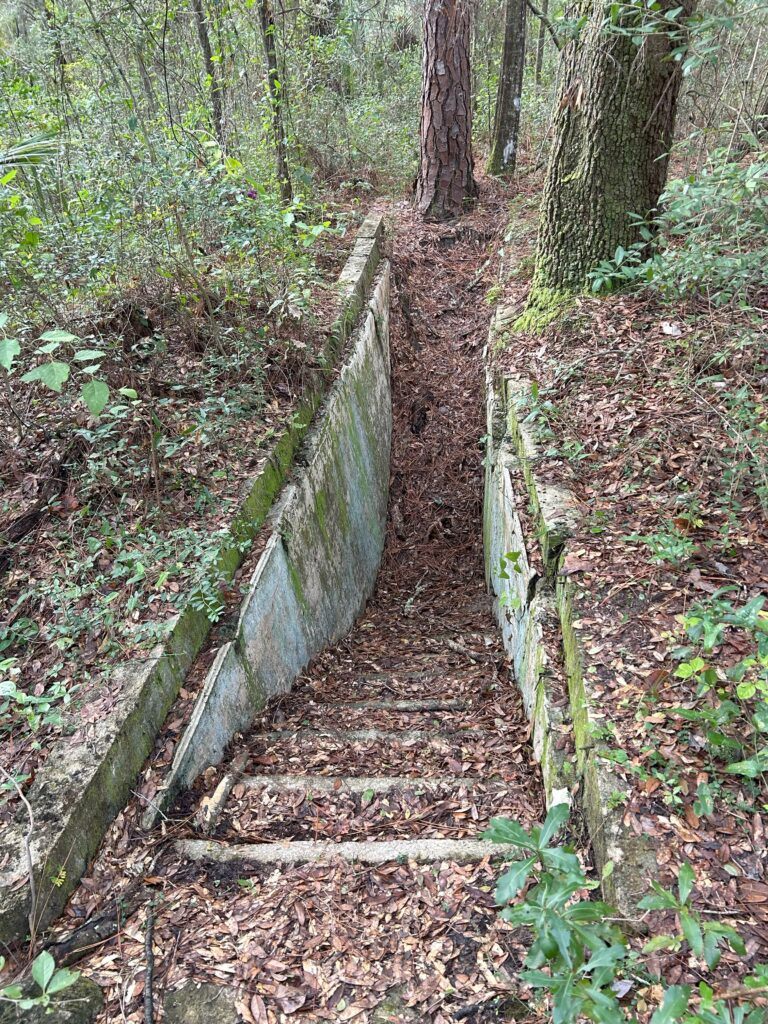 Concrete “stairway to hell” cattle dipping vat hidden in Withlacoochee State Forest.