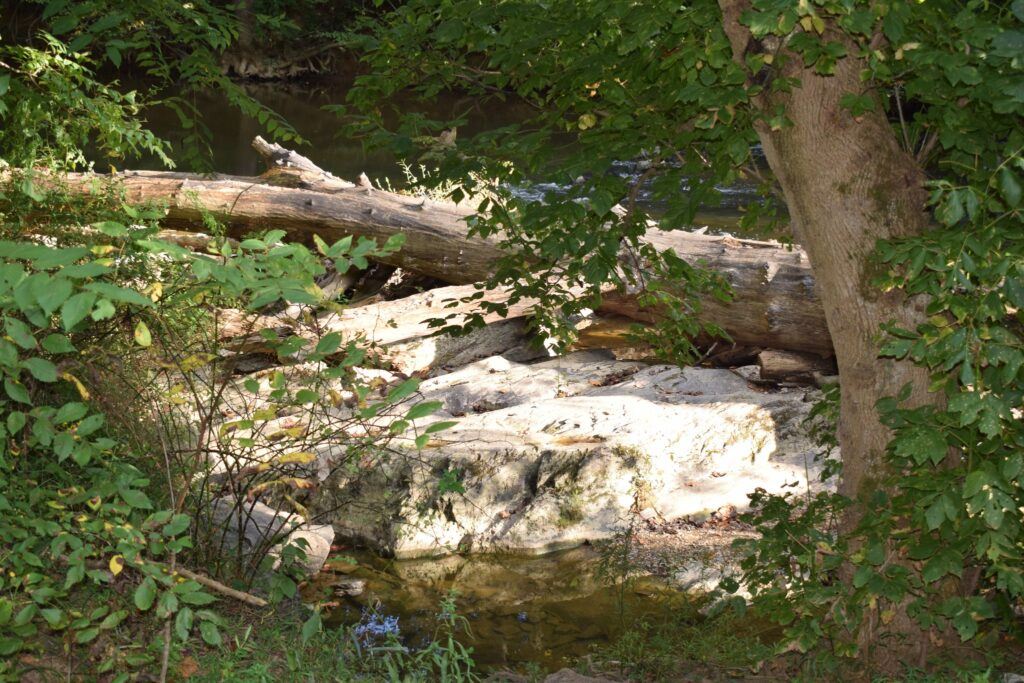 Seneca State Park's site of the Fishermen's Creek Interviews near Black Rock Mill.
