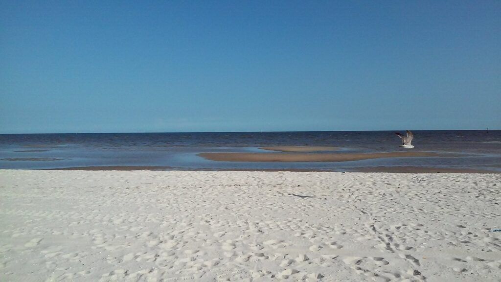 White sand beach along Pass Christian, Mississippi, with calm Gulf waters and an open sky stretching toward the horizon with a seagull flying low across the shoreline.