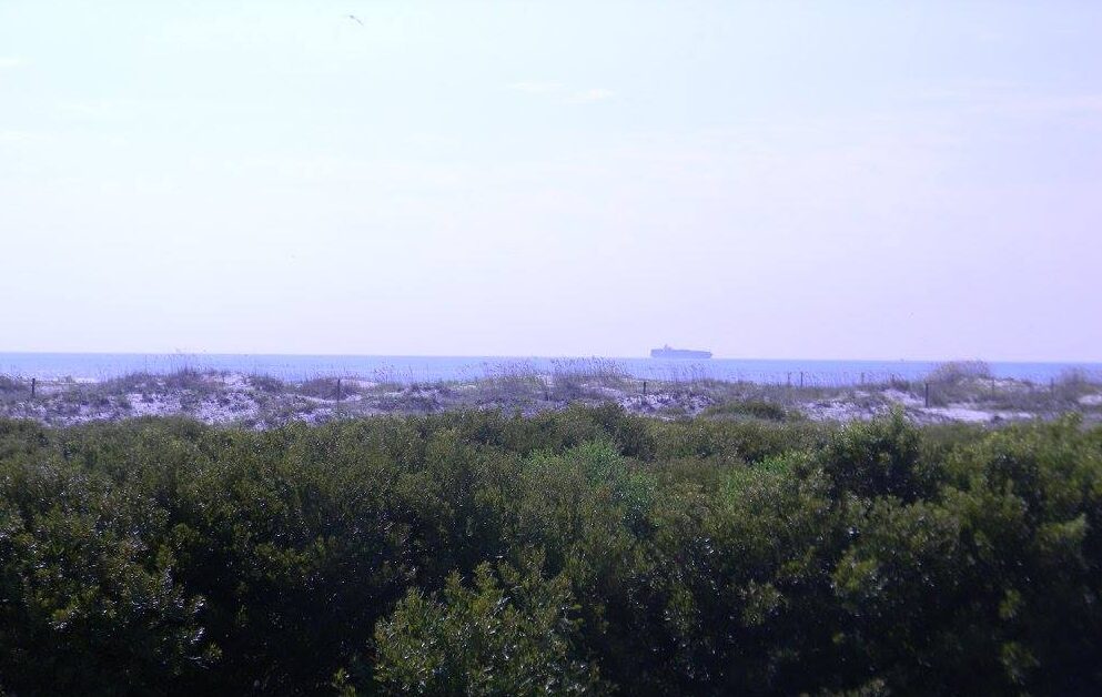 View across the maritime preserve at Little Talbot Island State Park, showing dense coastal vegetation in the foreground, low sand dunes and a pristine white sand beach beyond, with a large cargo ship visible on the horizon over the Atlantic Ocean.