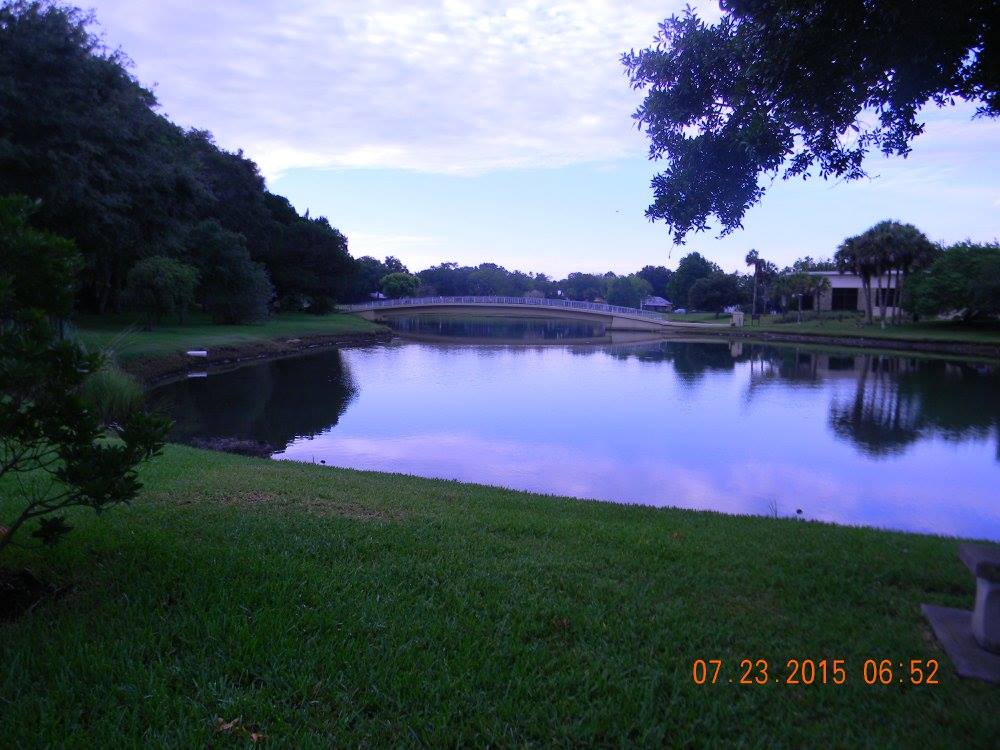 Still pond near the Mission Nombre de Dios in St. Augustine, Florida, with trees mirrored on the water in the quiet morning light.
