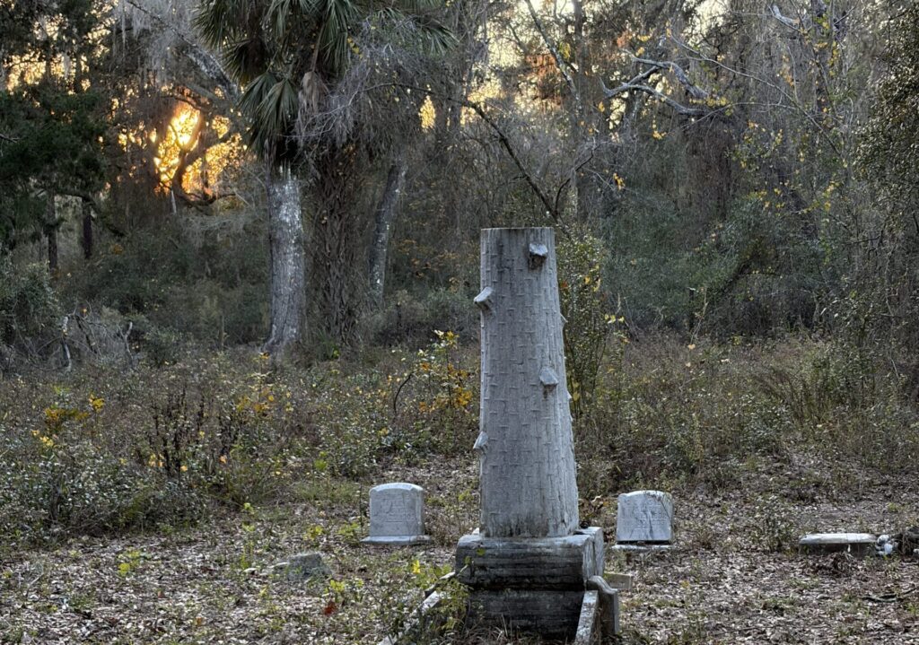 Tree stump–style headstone surrounded by small grave markers in Giddens Homestead Cemetery, a historic pioneer burial ground hidden in the Florida woods.