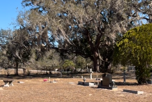 Gravestones beneath a large oak tree draped in Spanish moss at Loyce Cemetery in Pasco County, Florida.
