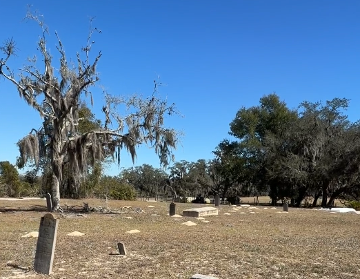 Spanish moss–draped oak tree and scattered headstones at Twin Lakes Cemetery in Brooksville, Florida, with visible ground depressions marking unmarked graves.