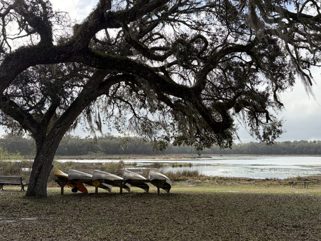 Lake Holathlikaha at Fort Cooper State Park in Florida with oak tree and canoes, a peaceful setting that was once the site of a Second Seminole War siege