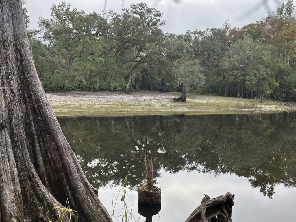 Remains of an old bridge piling in the Withlacoochee River at Croom ghost town, reflecting in still water beneath cypress trees