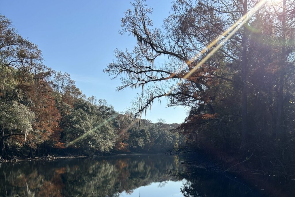 Calm river reflection in Withlacoochee State Forest at Croom ghost town, with autumn trees, cypress branches, and sunlight filtering through the canopy