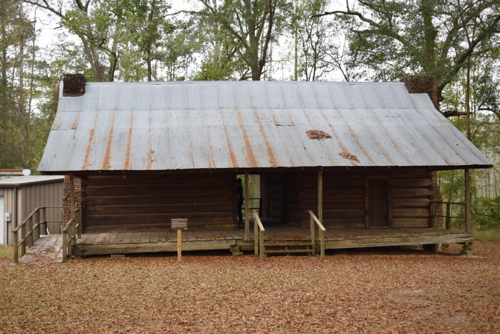Historic dogtrot log cabin at Pioneer Museum of Alabama in Troy, featuring a wide metal roof, central breezeway, wooden porch, and fallen leaves covering the ground beneath surrounding trees.