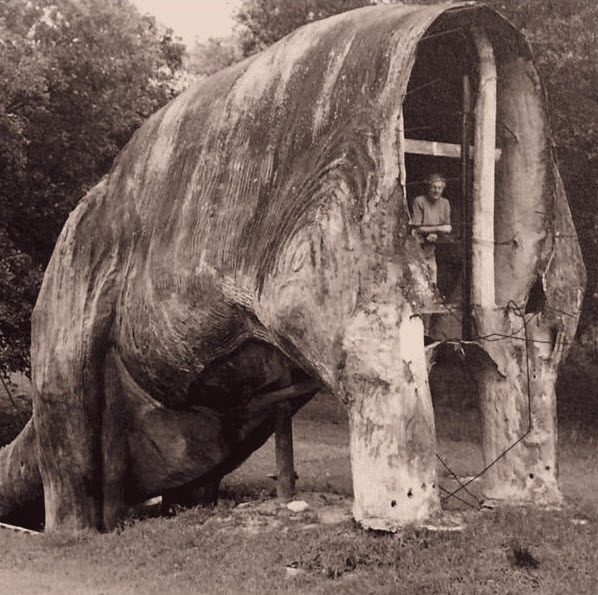 Historic black-and-white photograph of the unfinished Brooksville Brontosaurus in Brooksville, Florida. A person stands inside the hollow concrete dinosaur structure near the exposed front opening where the neck and head were never completed.