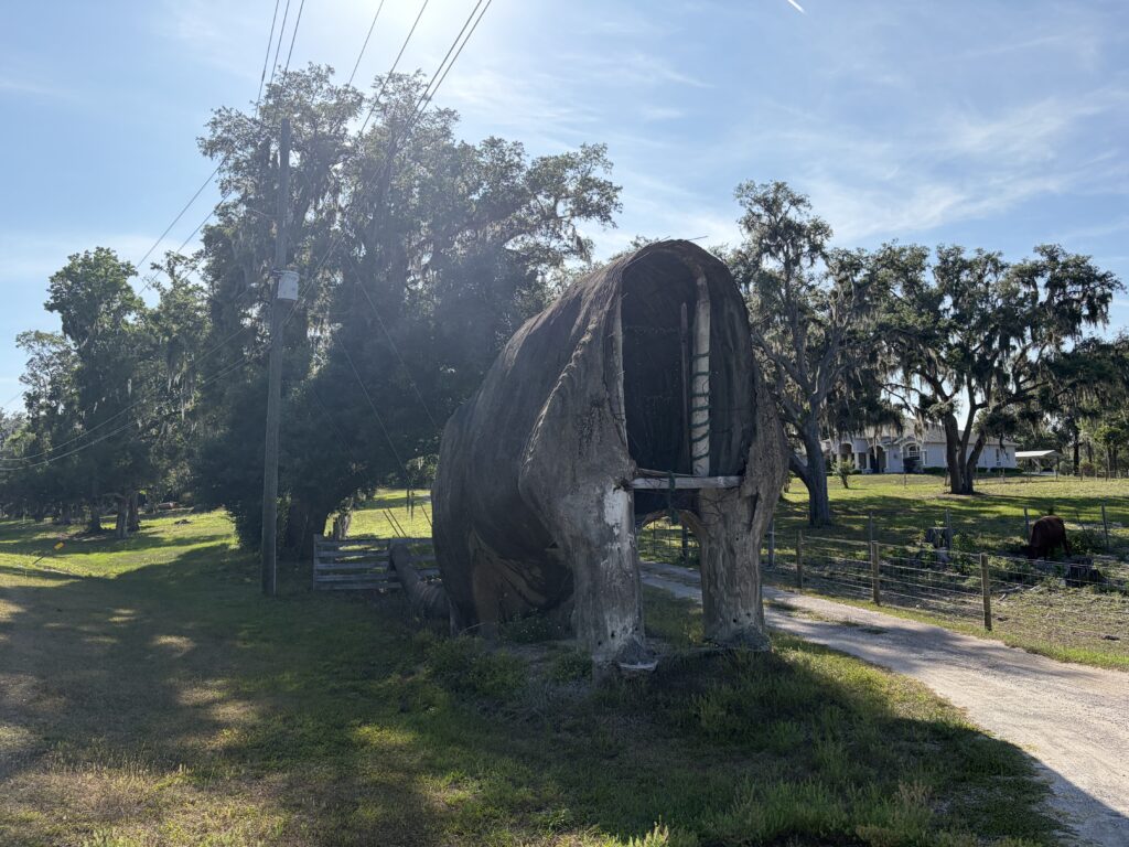 Featured image showing the unfinished Brooksville Brontosaurus along Lake Lindsey Road in Brooksville, Florida. The massive concrete dinosaur stands headless and hollow beside a rural roadside beneath a bright blue sky, surrounded by oak trees draped in Spanish moss.