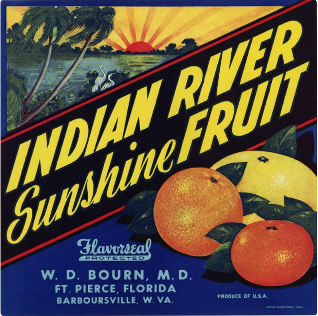 Vintage Indian River Sunshine Fruit citrus crate label featuring oranges, a sunrise over the Indian River Lagoon, and colorful early Florida agricultural advertising.