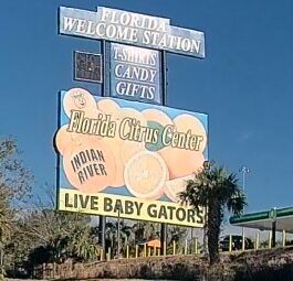 Roadside sign for a Florida Citrus Center advertising Indian River citrus, candy, gifts, and live baby gators along a Florida highway.