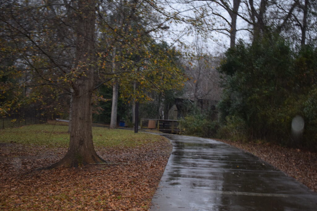 A rain-soaked paved path winds through a wooded park toward the historic Oconee Mill ruins, with wet leaves covering the ground and bare winter trees framing the scene near the Oconee River in Milledgeville, Georgia.