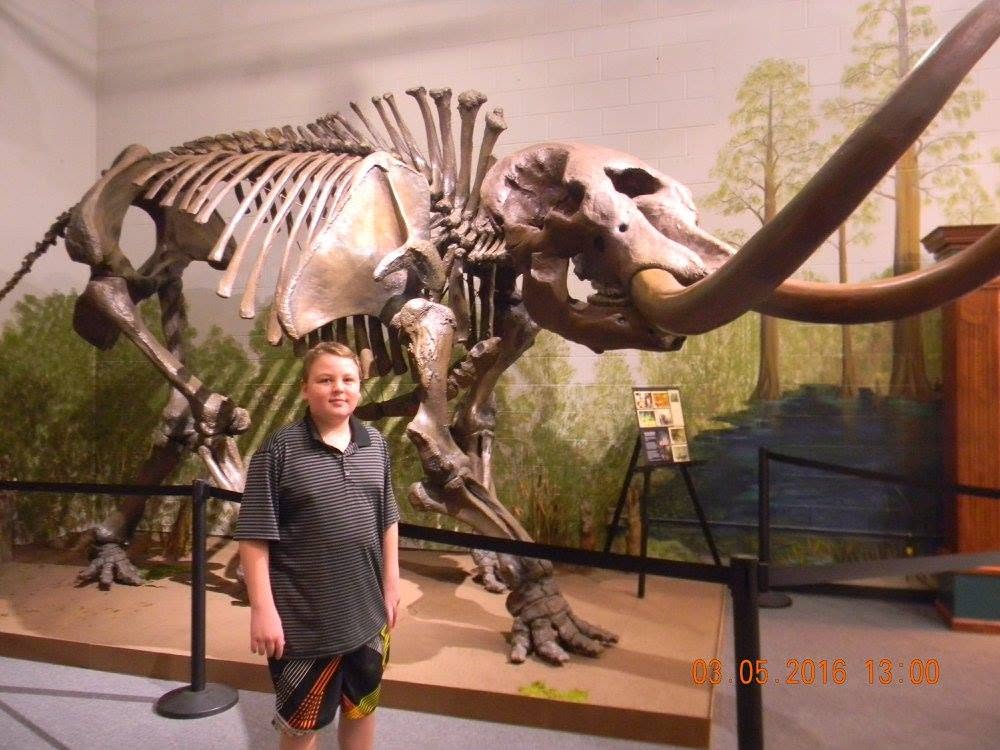 A young student stands beside a prehistoric mastodon skeleton at the Brevard Museum of History and Natural Science in Cocoa, Florida.