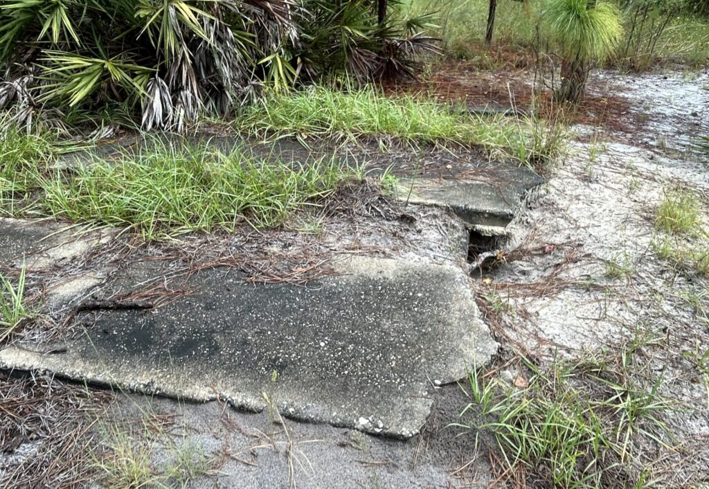 Weathered concrete foundation partially buried beneath sand, grass, and pine needles in the former site of Ethel Ghost Town, Florida.