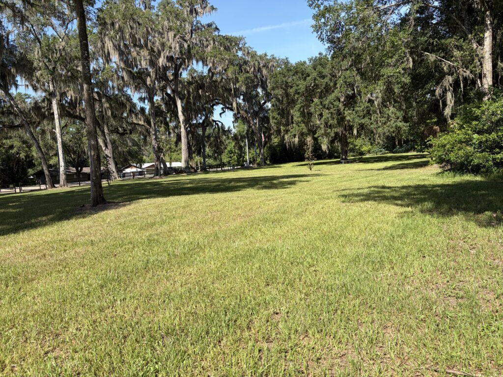 A quiet grassy field shaded by towering live oaks draped in Spanish moss marks the former location of Fort King's military cemetery in Ocala, Florida, where soldiers were once buried before being reinterred in St. Augustine.