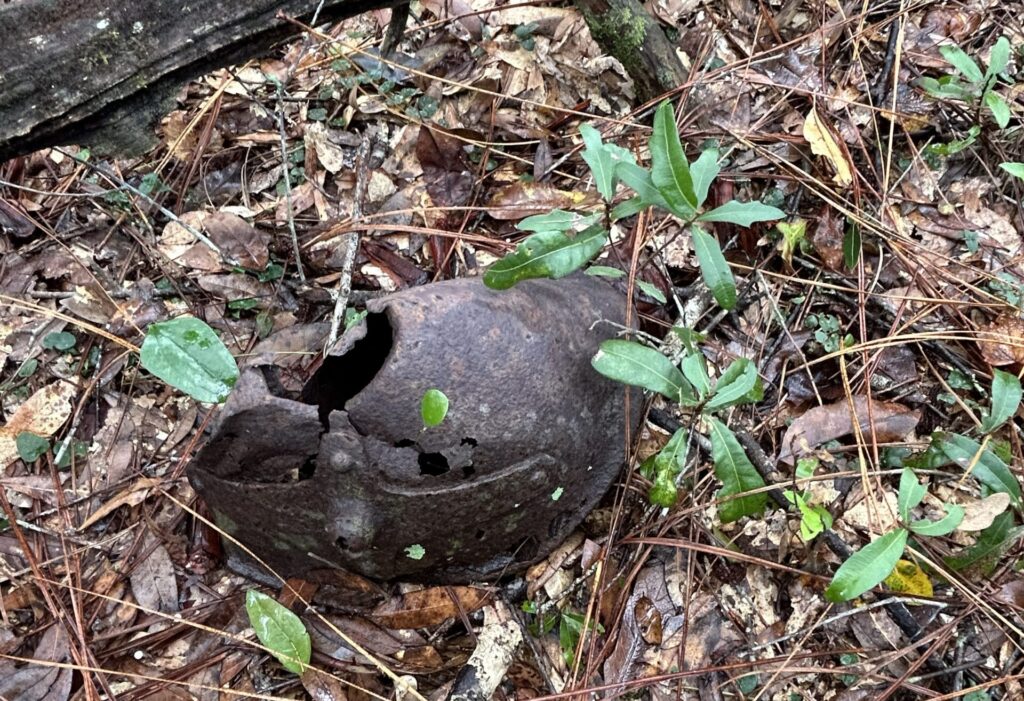 Heavily rusted metal container partially buried beneath pine needles and forest debris in the woods near the former site of Ethel Ghost Town, Florida.