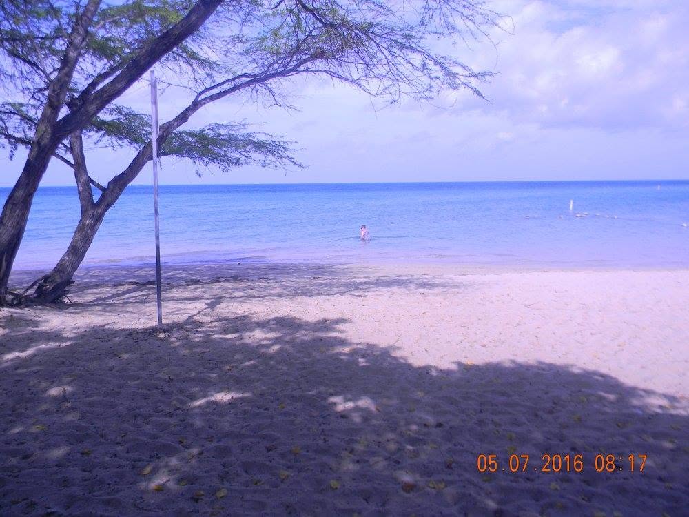 Quiet sandy shoreline and calm Caribbean water beneath shade trees at Combate Beach in Cabo Rojo, Puerto Rico.