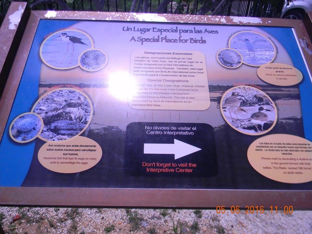 An interpretive sign about migratory birds at the Cabo Rojo Salt Flats in Puerto Rico explains the importance of the wildlife refuge and directs visitors to the interpretive center.