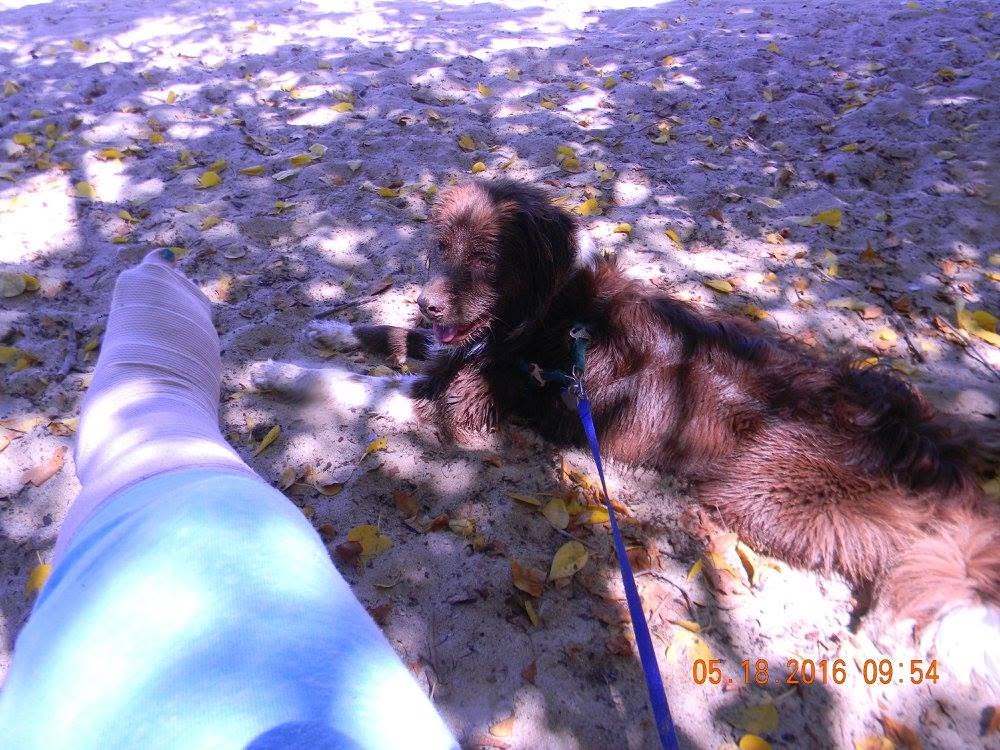 Cast-covered leg beside a dog resting in the shade on the sand at Combate Beach in Cabo Rojo, Puerto Rico.