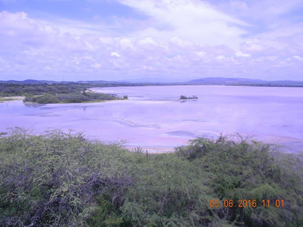 A wide view of the Cabo Rojo Salt Flats in Puerto Rico shows pale pink lagoons, coastal vegetation, and distant hills beneath a dramatic Caribbean sky.