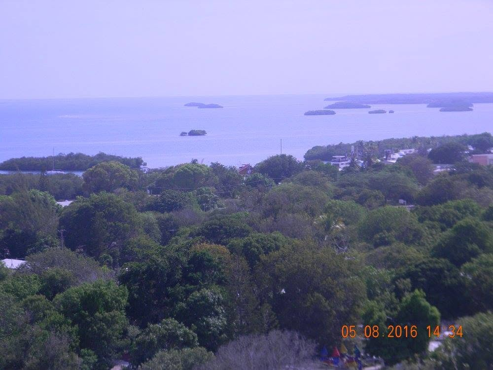Mangroves, small coastal islands, and Caribbean waters surrounding La Parguera in southwestern Puerto Rico.