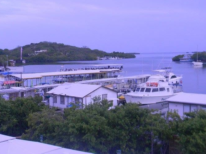 View of the La Parguera waterfront in Puerto Rico with boats, docks, buildings, and mangroves along the coastal waterway.