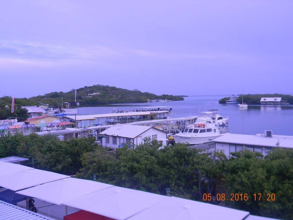 View of the La Parguera waterfront in Puerto Rico with boats, docks, buildings, and mangroves along the coastal waterway.