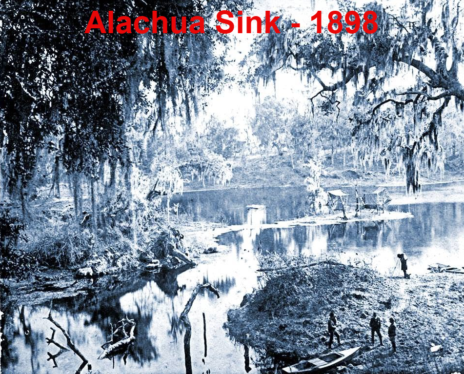 Historic 1898 photograph of Alachua Sink at Paynes Prairie, surrounded by water, trees, and Spanish moss.