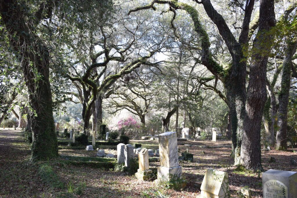 Weathered headstones beneath massive live oak trees at Micanopy Historic Cemetery in Florida